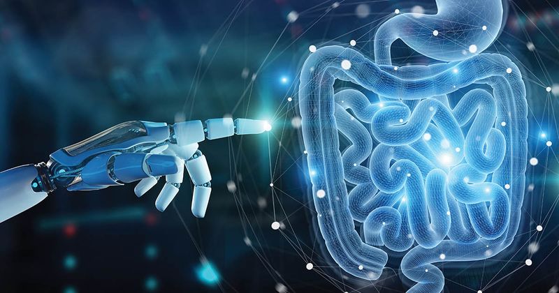 artificial intelligence and digestive system